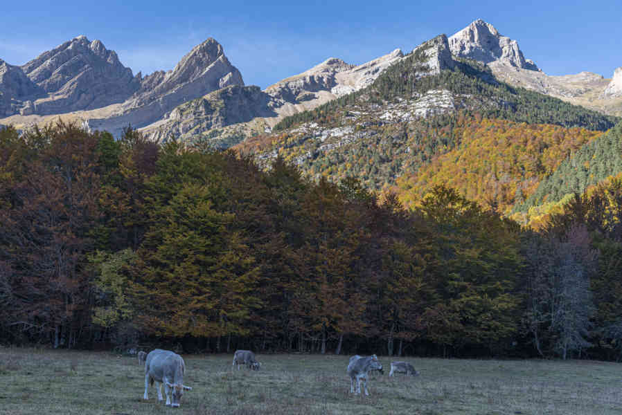 Huesca - parque nacional de Ordesa y Monte Perdido - valle de Pineta 04 - circo de Pineta.jpg